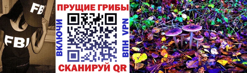 даркнет формула  Муравленко  Галлюциногенные грибы GOLDEN TEACHER 